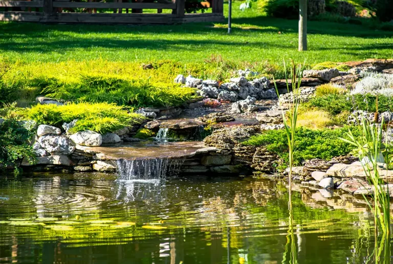 Gartenteich selber bauen Titelbild